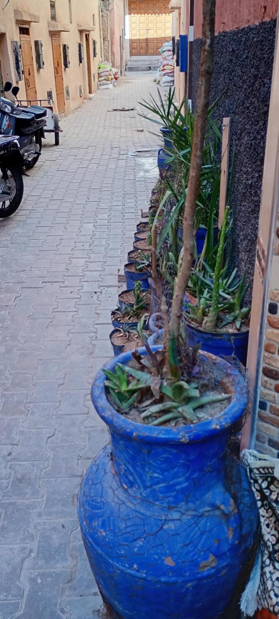 Dar Aziz Apartment Marrakesh Exterior photo